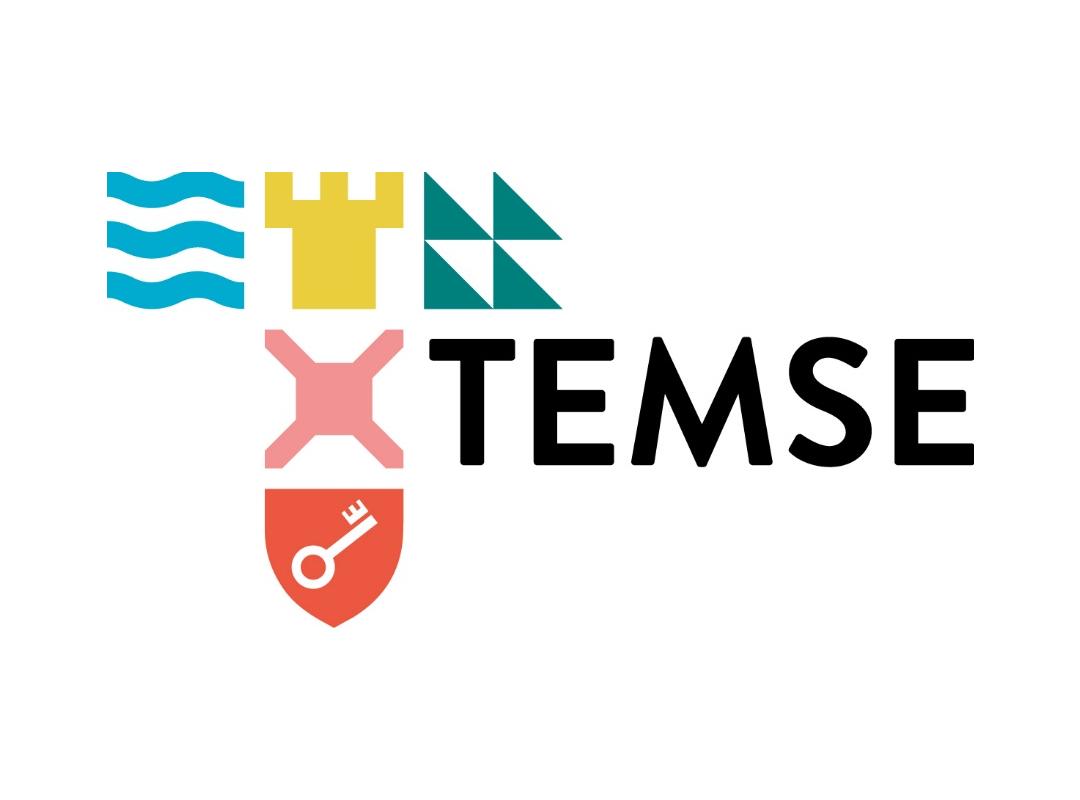 logo Temse 